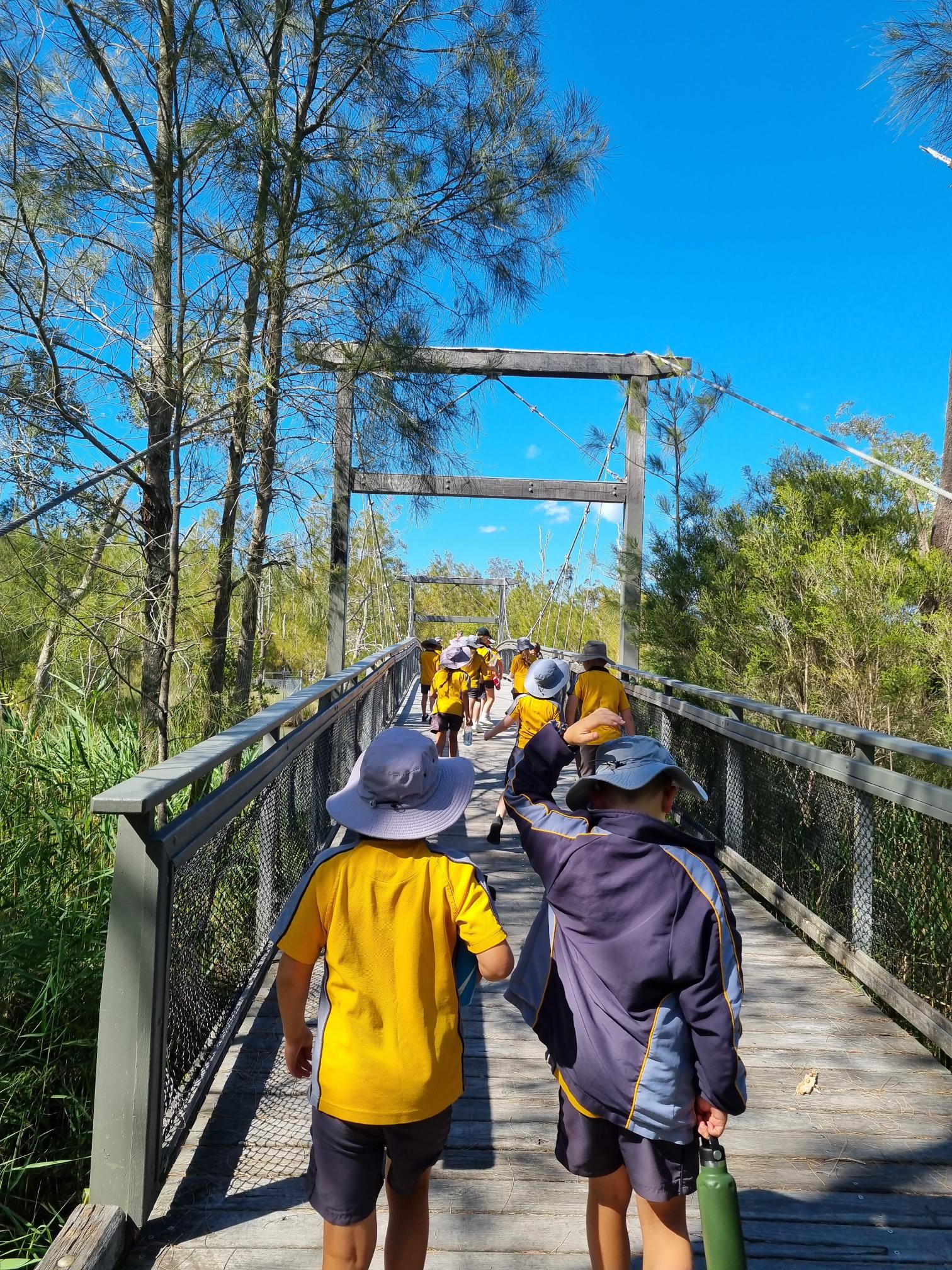 Wellbeing Walk Term 4 - St Brendans Lake Munmorah